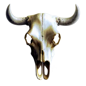 Cow Skull Illustration Png 36 PNG Image