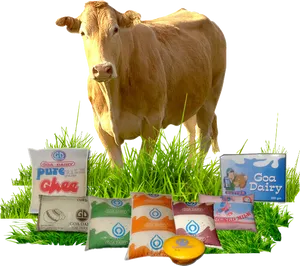 Cowand Dairy Products Display PNG Image