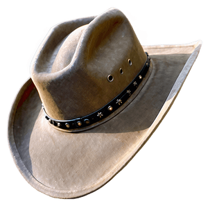 cowboy hat b PNG image with transparent background