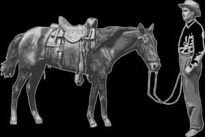 Cowboyand Horse Monochrome PNG image with transparent background