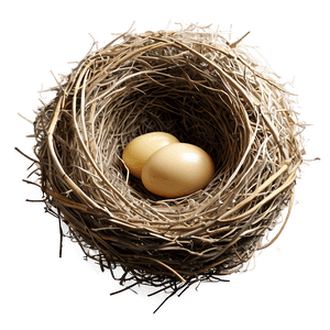 Cozy Bird Nest PNG 05252024 PNG