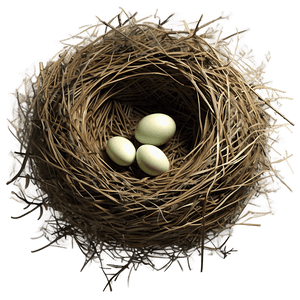 Cozy Bird Nest PNG 31 PNG