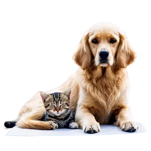 Cozy Dog And Cat Png Oev PNG Image