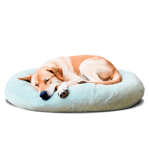 Cozy Sleeping Dog PNG 05232024 PNG image with transparent background
