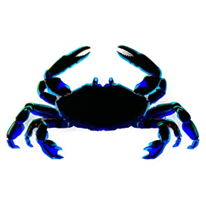 Crab Silhouette Png 05232024 PNG Image