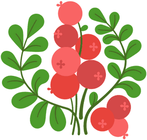 Cranberry Clipart, HD Png Download PNG image with transparent background