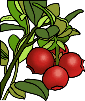 Transparent Cranberries Png - Cranberry Clipart Transparent, Png Download PNG with transparent background