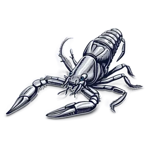 Crawfish Line Art Png Bno29 PNG Image