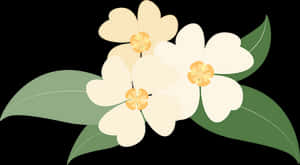 Creamy White Floral Illustration PNG image with transparent background