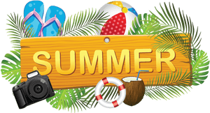 Creative Board With Elements - Summer Png, Transparent Png PNG image with transparent background