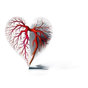 Creative Heart Vector Drawing Png 50 PNG Image