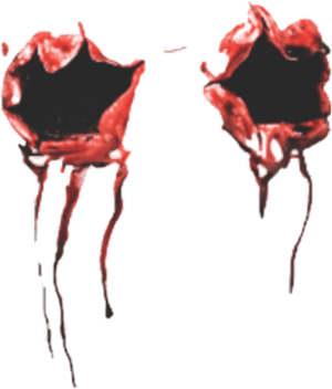 Creepy Bloody Eyes Illustration PNG image with transparent background