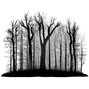 Creepy Dark Forest PNG 28 PNG