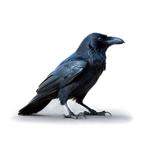 Creepy Raven In Fog Png Lug27 PNG Image