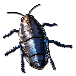 Creepy Roach PNG 49 PNG
