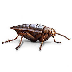 Creepy Roach PNG gtf PNG