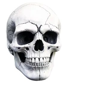 Creepy Skull Face Drawing Png Sww79 PNG Image