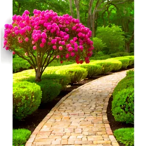 Crepe Myrtle Pathway Edge Png Kdn58 PNG Image