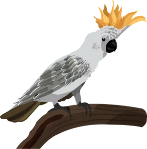 Crested Cockatoo Illustration.png PNG Image