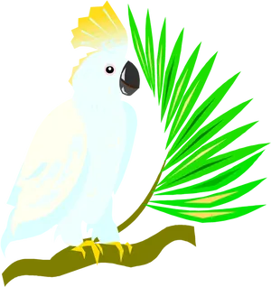 Crested Cockatoo Vector Illustration PNG Image