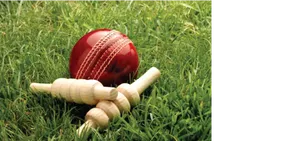 Cricket Balland Bailson Grass PNG Image