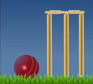 Cricket Balland Stumps PNG image with transparent background
