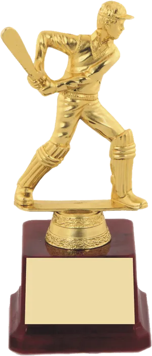 Cricket Batsman Trophy PNG Image