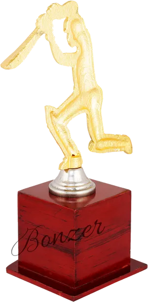 Cricket Batsman Trophy PNG Image