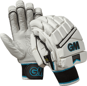 Cricket Batting Gloves, HD Png Download PNG image with transparent background