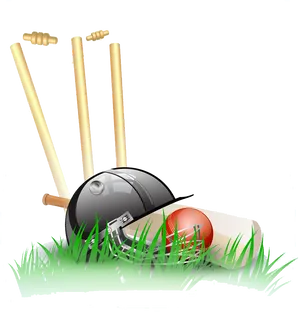 Cricket Equipment Illustration PNG Image