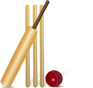 Cricket Equipment Illustration PNG Image