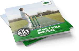 Cricket Pitch Brochure Mockup20182019 PNG image with transparent background