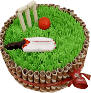 Cricket Themed Celebration Cake PNG image with transparent background