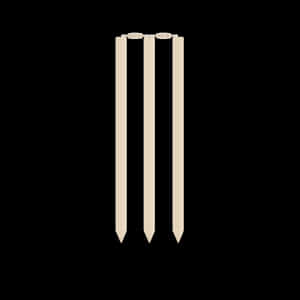 Cricket Wickets Icon PNG image with transparent background