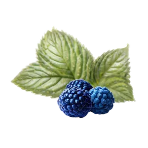 Crisp Blue Raspberry Png 06212024 PNG Image