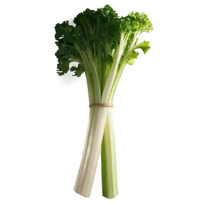 Crisp Celery Bunch Png Ylr PNG Image