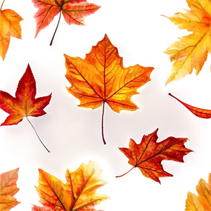 Crisp Fallen Leaves Texture Png 06292024 PNG Image