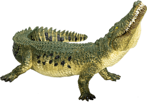 Mojo Fun Nile Crocodile, HD Png Download PNG image with transparent background