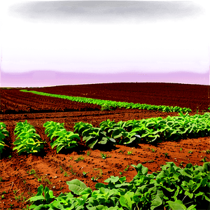 Crop Rotation and Management PNG ofb PNG