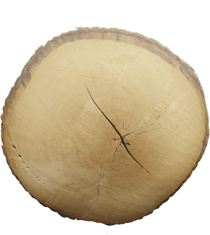 Wood, HD Png Download PNG image with transparent background