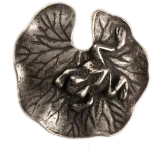 Cross Sectionof Walnut Resembling Brain PNG Image