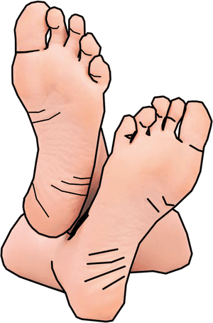 Feet Png - Free Clipart Feet, Transparent Png PNG image with transparent background