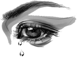 Crying_ Eye_ Sketch_ Artwork.jpg PNG Image