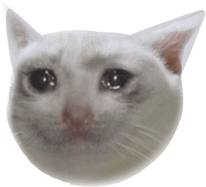Cryingcat 181 Kb - Crying Cat Meme Png, Transparent Png PNG image with transparent background