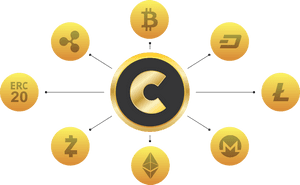 Cryptocurrency , Png Download - Multiple Cryptocurrency Wallet, Transparent PNG with transparent background