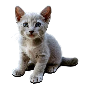 Cuddly Grey Kitten Png Bfp85 PNG Image