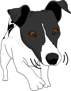 Dog Funny Playful - Dog, HD Png Download PNG image with transparent background