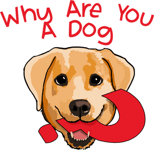 You A Dog, HD Png Download PNG