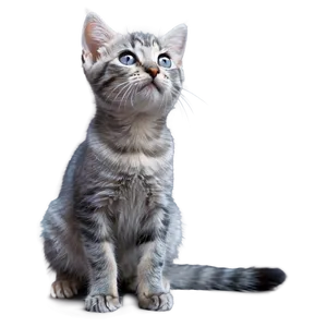 Curious Grey Kitten Png 56 PNG Image