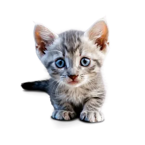 Curious Grey Kitten Png Jkb4 PNG Image